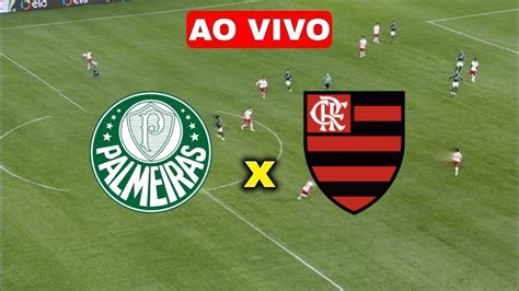 tv brasil ao vivo app